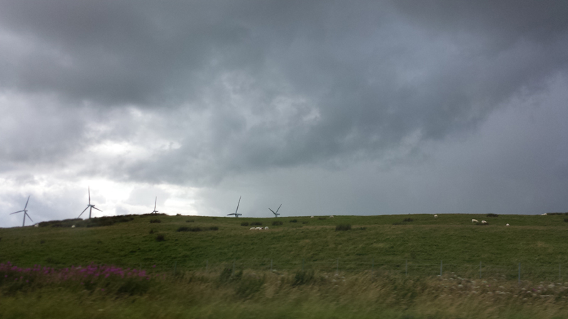 Wark UK 07 